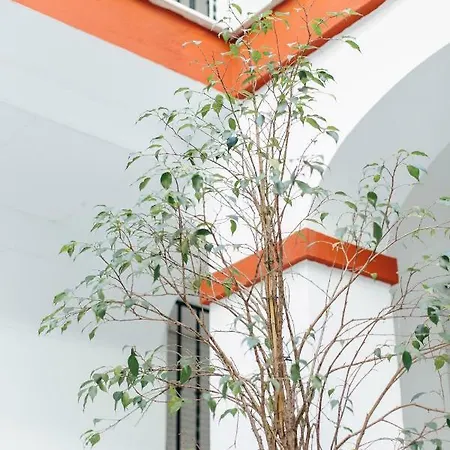 One & Lux- Lagar Apartment Seville Exterior photo