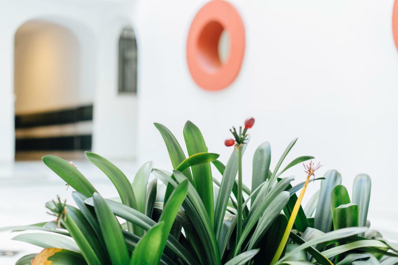 Apartment One & Lux- Lagar Seville
