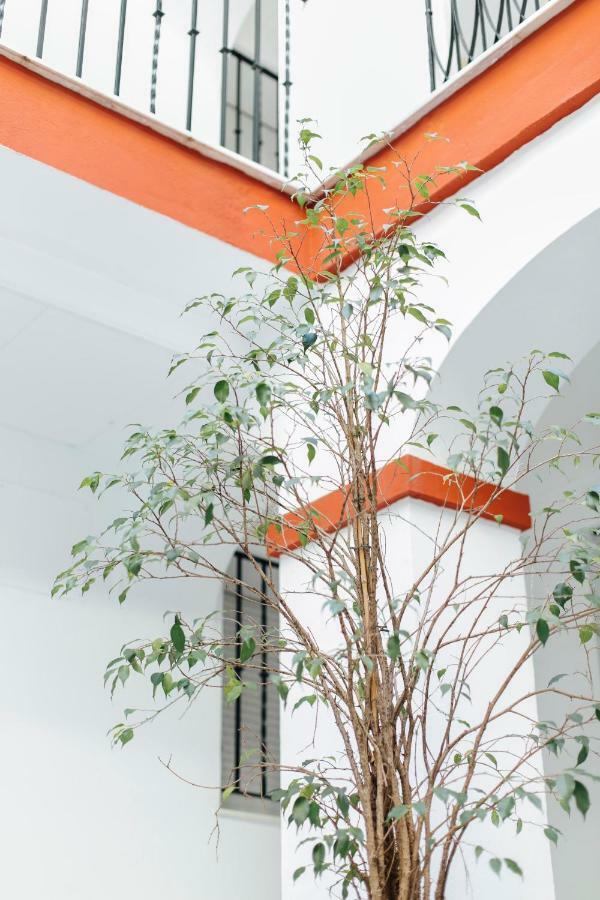 One & Lux- Lagar Apartment *